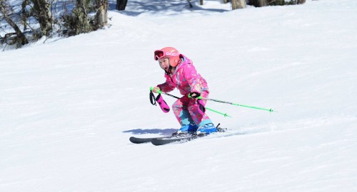 Fondements du ski